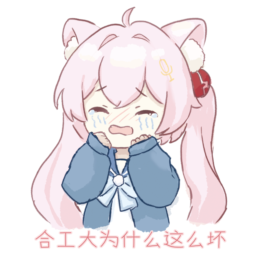 冰糖_合工大为什么这么坏